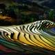 Illustration for article titled 41 More Amazing Photos From the Sony World Photography Awards